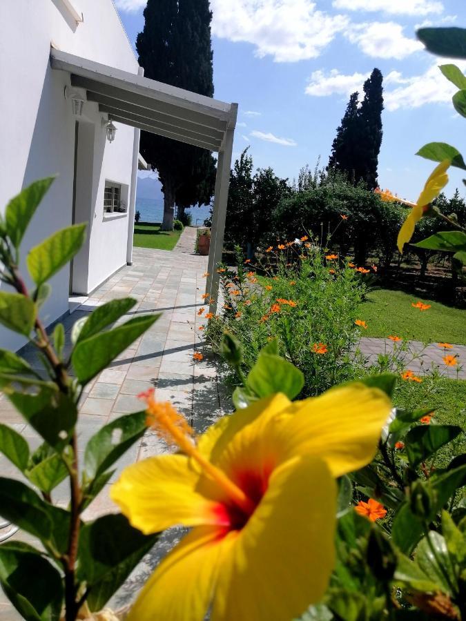 Villa Maria Epidaurus Dış mekan fotoğraf